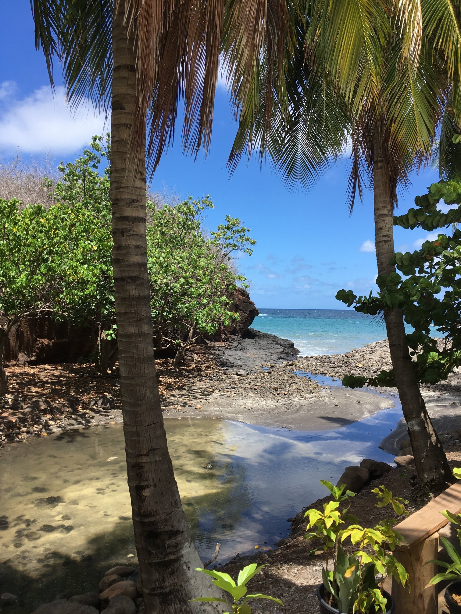 Chez Maurice et Delphine-portrait