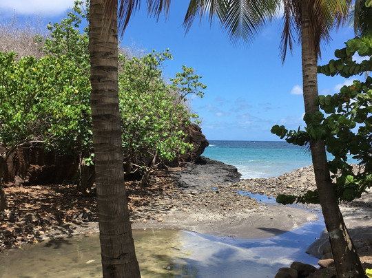Taiohae酒店住宿-Chez Maurice et Delphine