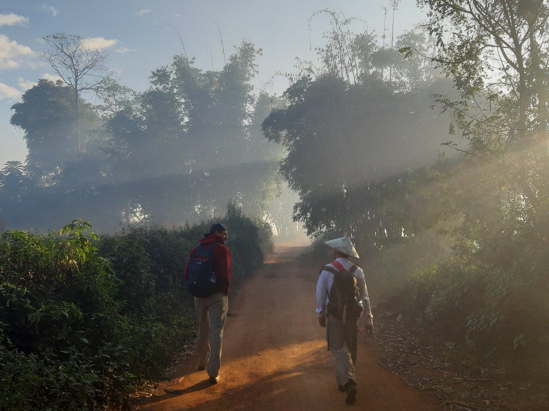 Ye Lin Kalaw Trekking景点图片