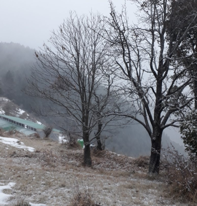 Bliss of Nature主图