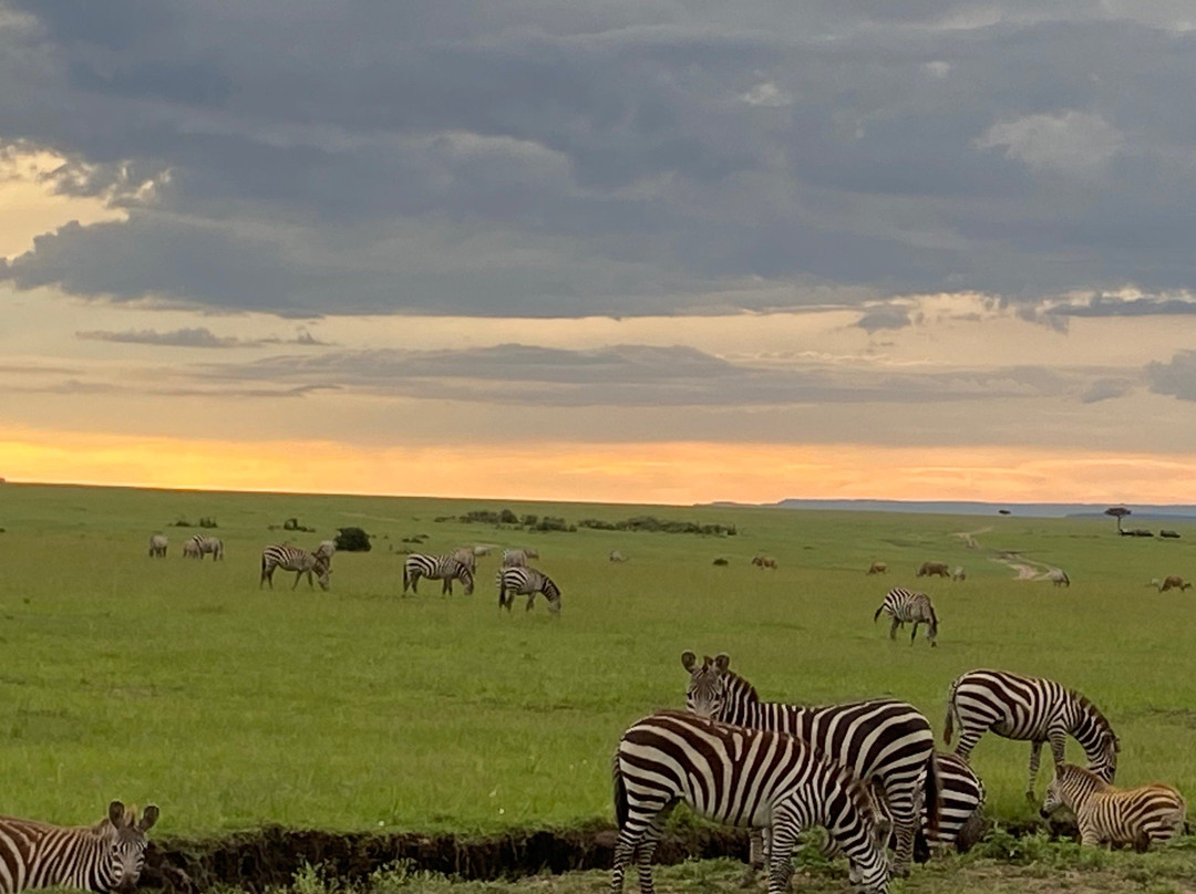 Victory Expeditions-马林地必去景点