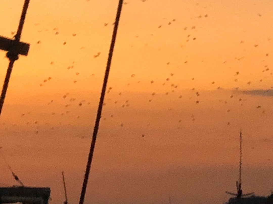 Flores Komodo Tour-登巴萨必去景点