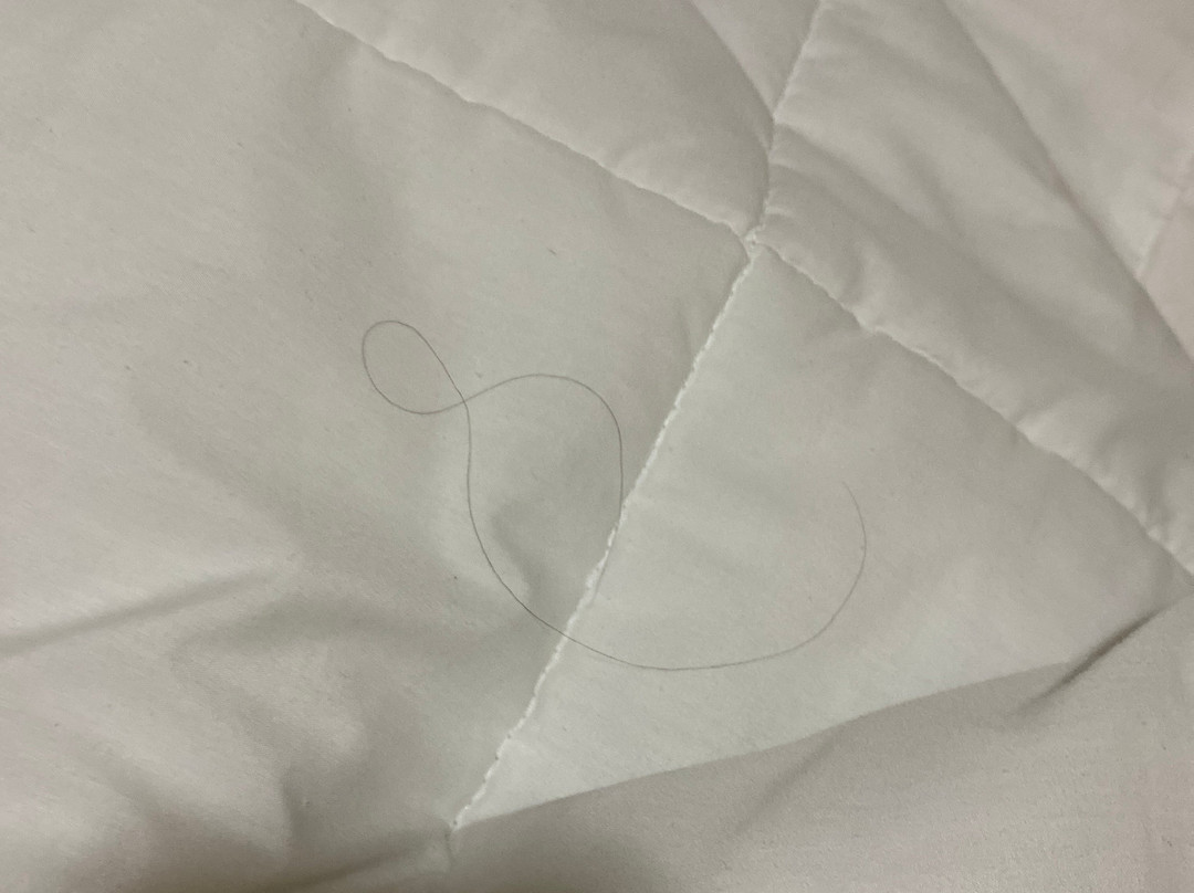 Hotel Gran Via主图