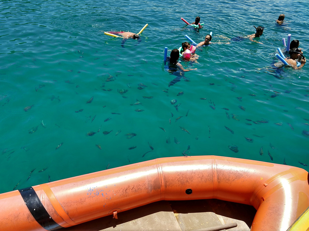 Ilha Comprida-帕拉地必去景点