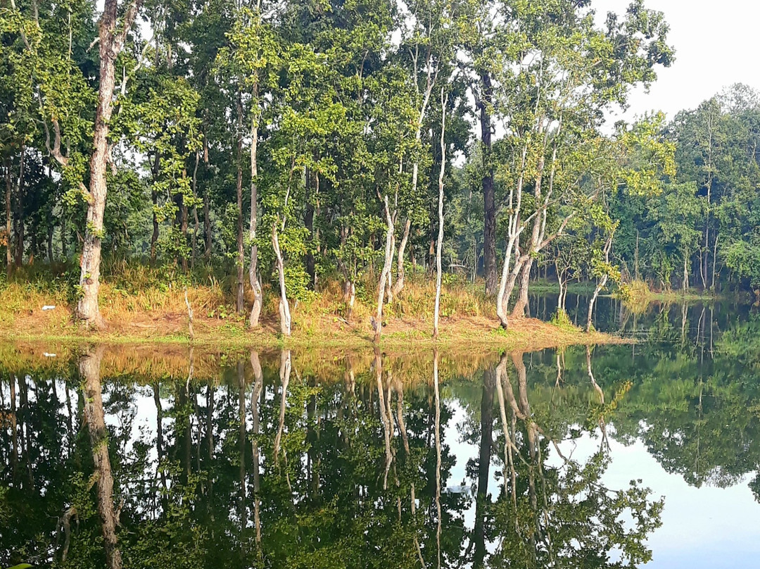 Bishazari Tal-奇旺国家公国必去景点