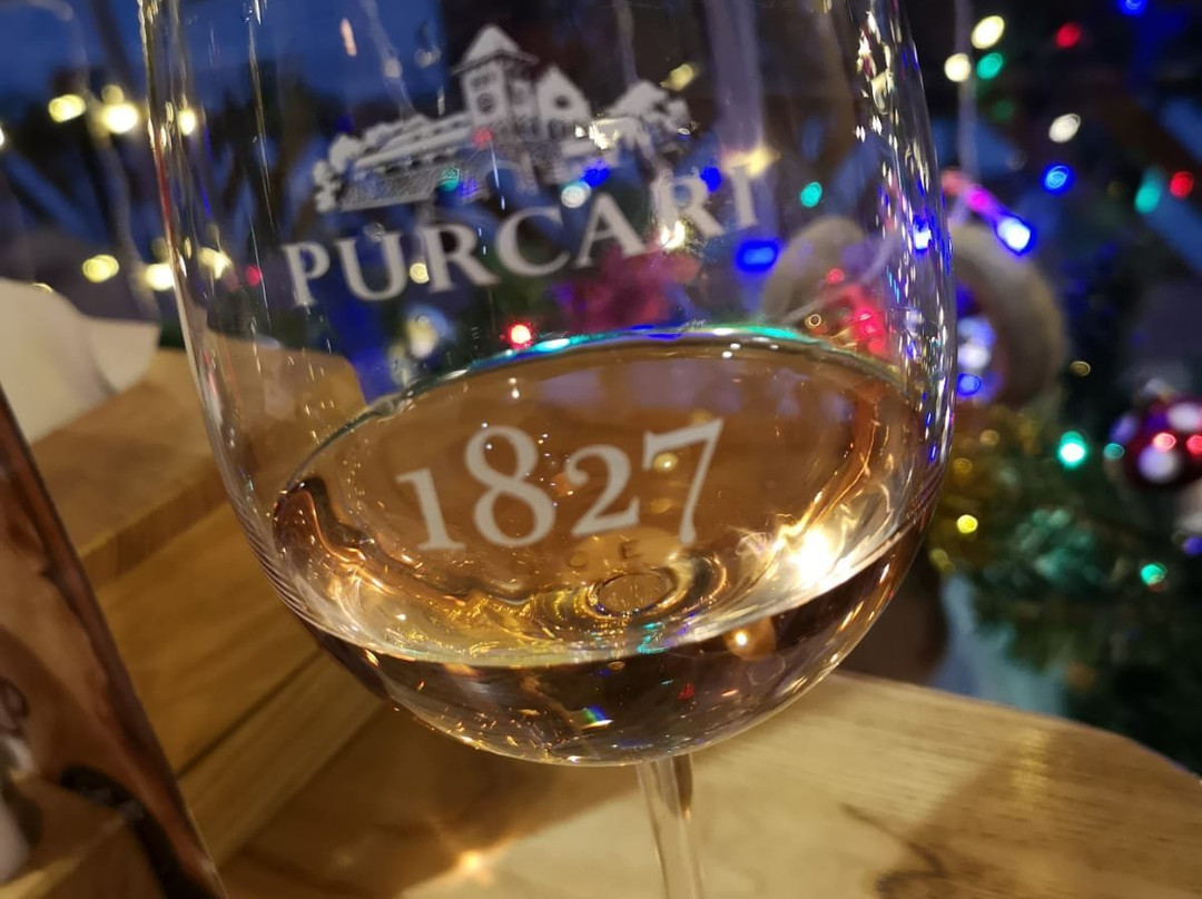 Shopping Malldova-基希讷乌必去景点