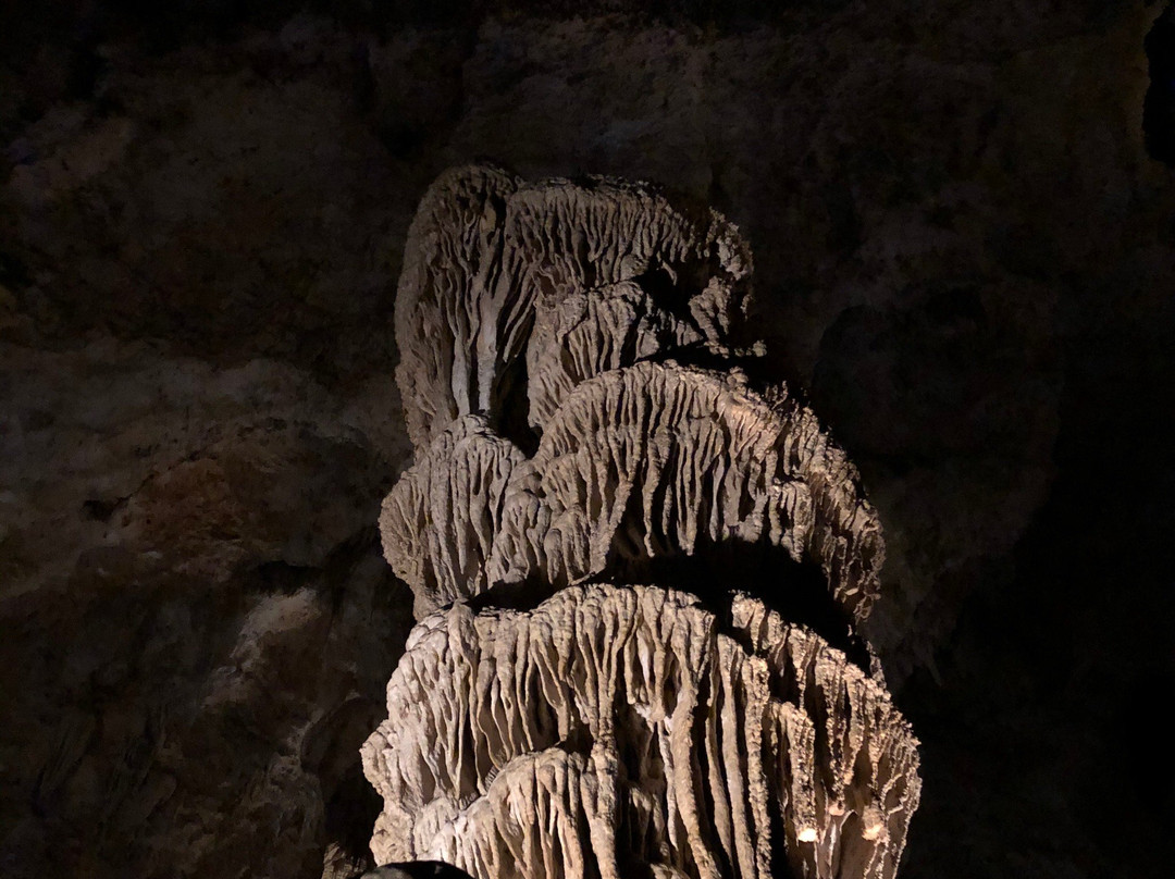 Giant Dome-卡尔斯巴德洞穴国家公园必去景点