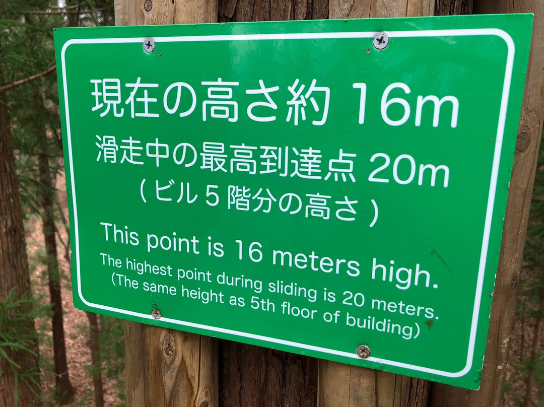Forest Adventure Chichibu-秩父市必去景点