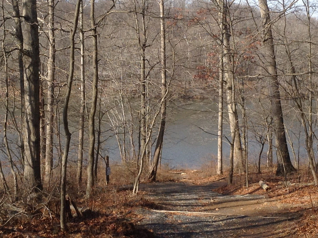 Lake Needwood-罗克维尔必去景点