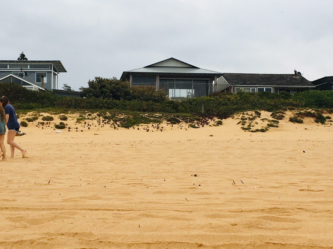 Avoca Beach-特里格尔必去景点