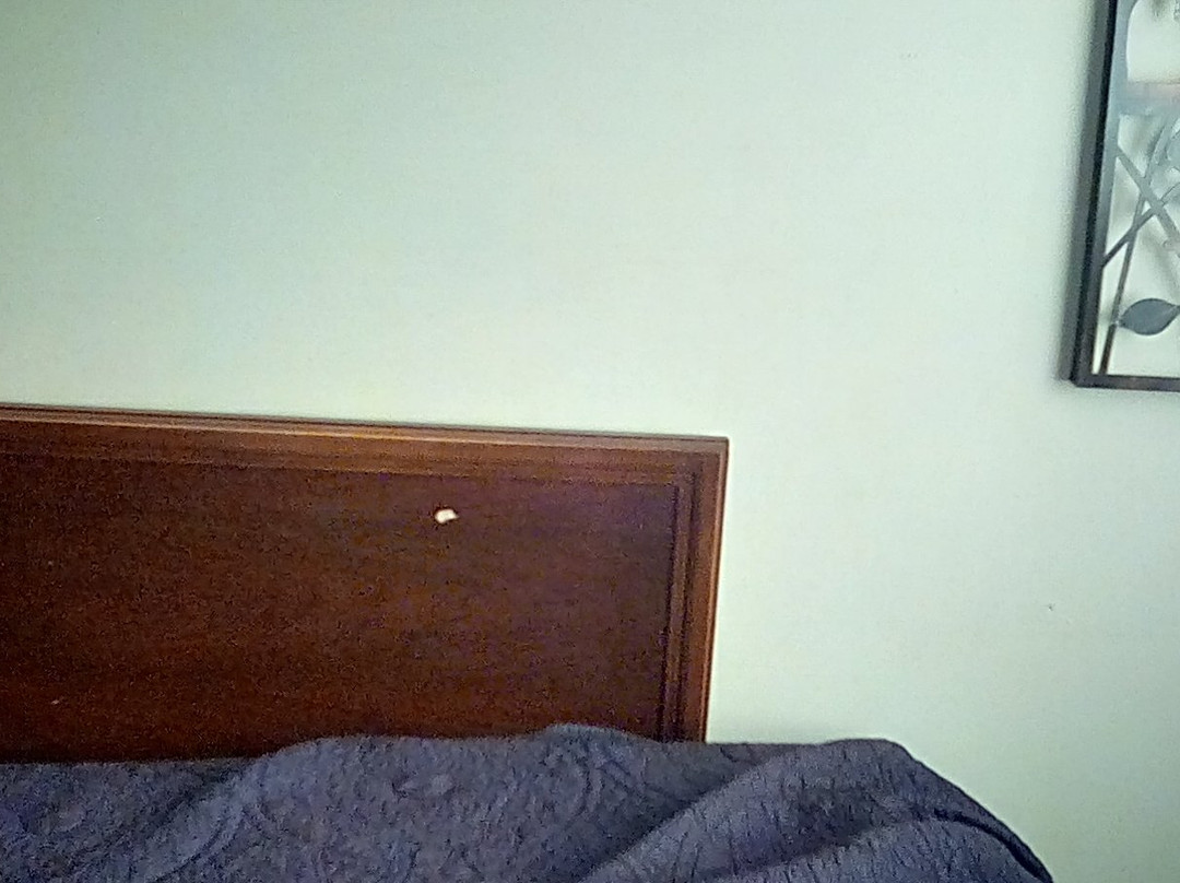 The Eldorado Motel主图