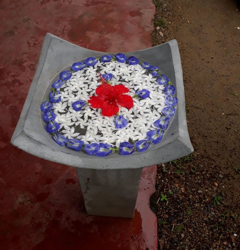 The Nature Spa Unawatuna-乌纳瓦图纳必去景点