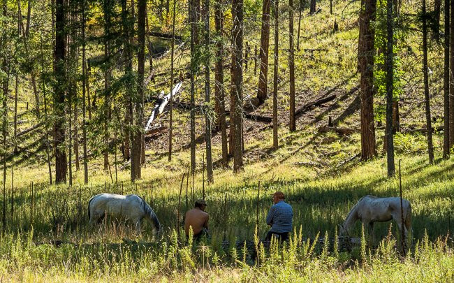 WolfHorse Outfitters Day Tours-Silver City必去景点