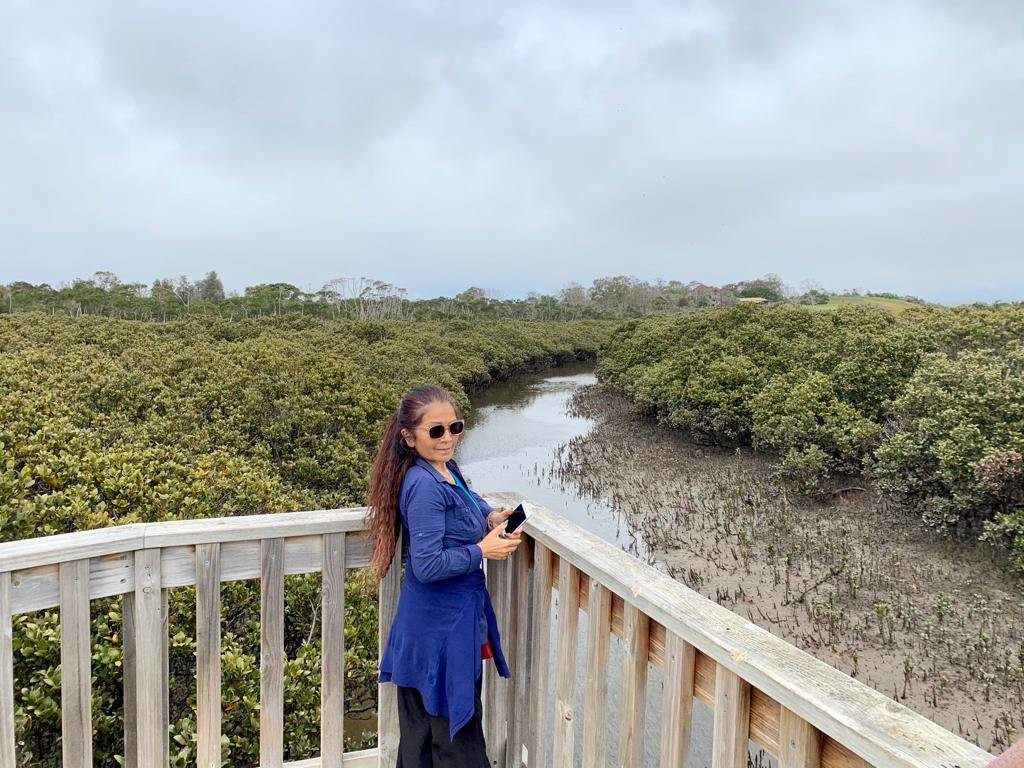 Rhyll Inlet State Wildlife Reserve景点图片