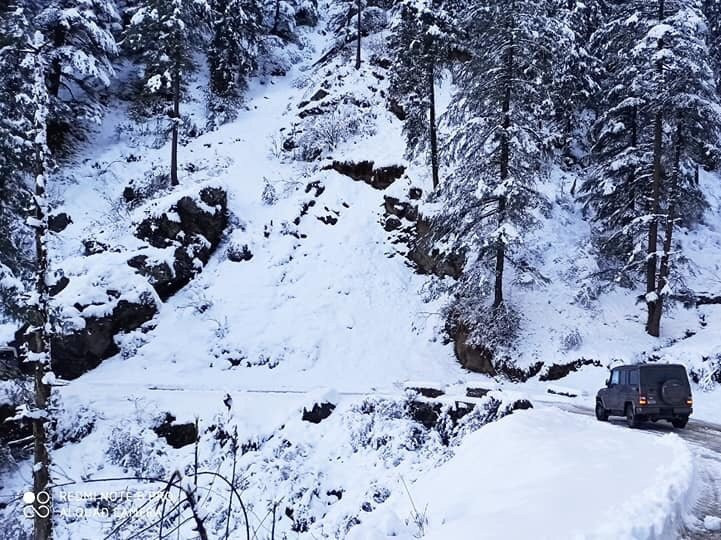 Treebo Trend Snow View Resort主图