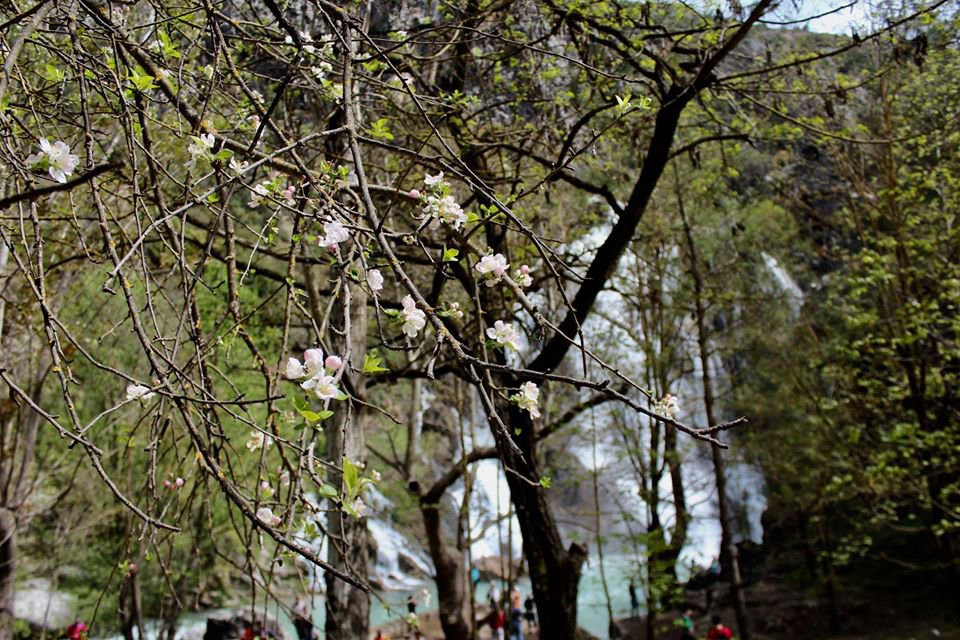 Ucansu Selalesi景点图片