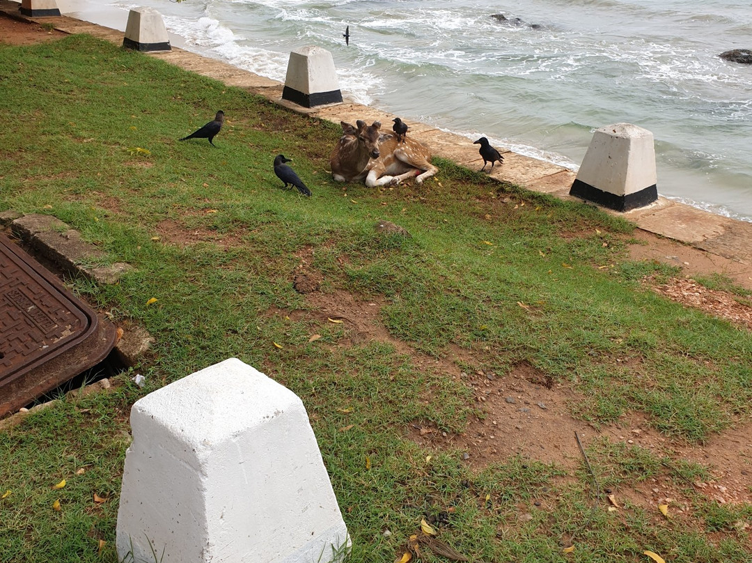 Ravana Abyss-Trincomalee必去景点