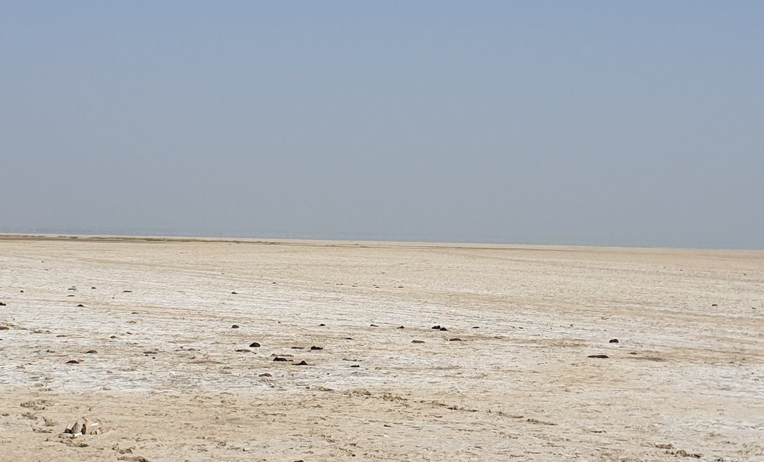 Sambhar Salt Lake-Kuchaman必去景点