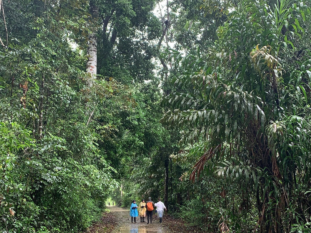 亚马逊新奇库伊山林小屋主图