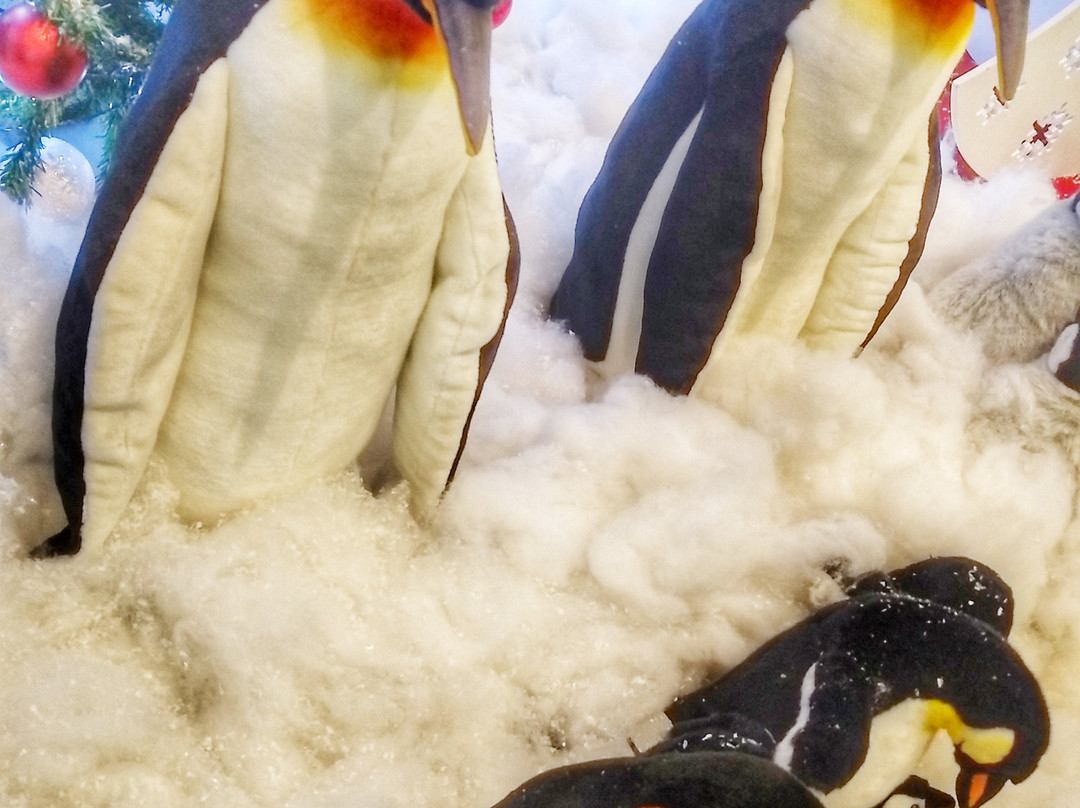 Boulevard Londrina Shopping-Londrina必去景点