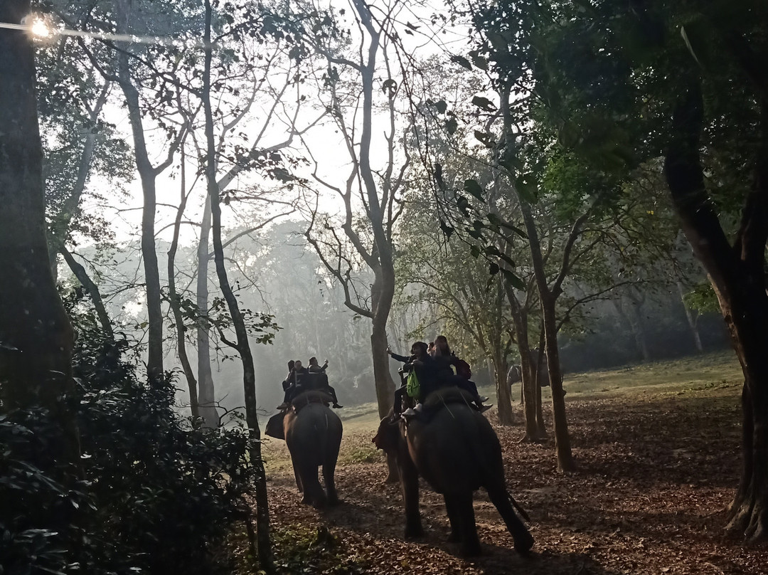 Chitwan Jungle Safari-奇旺国家公国必去景点