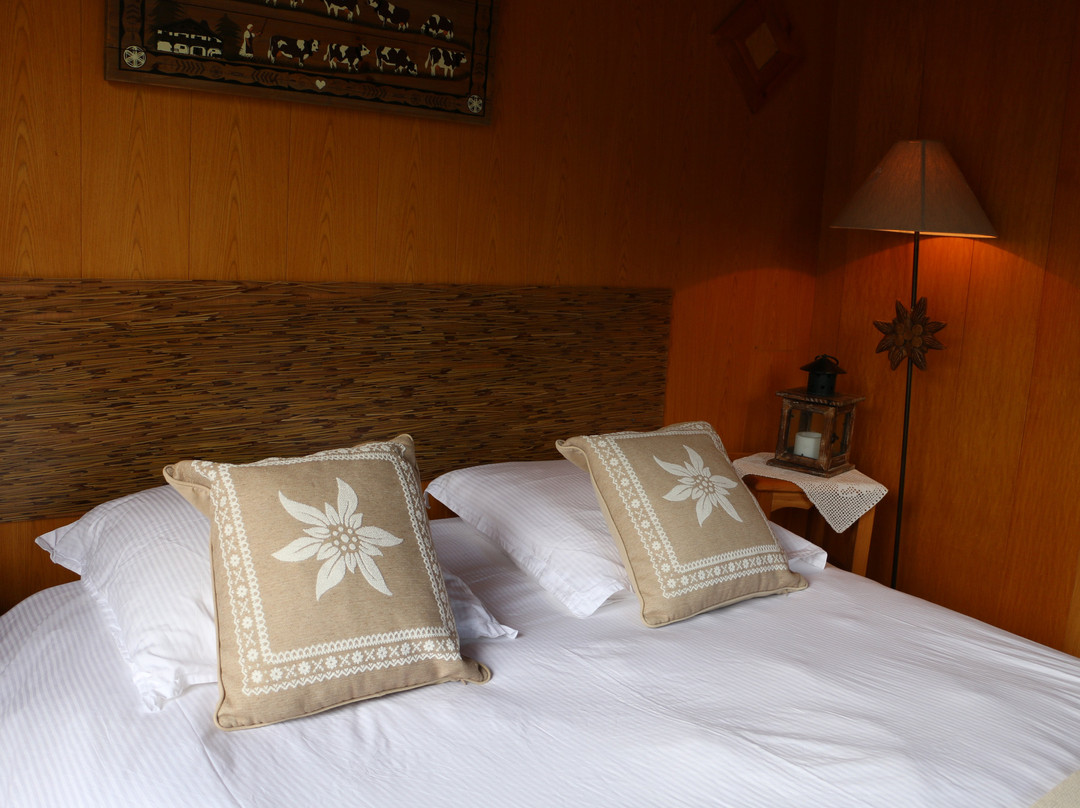 Chambres d'hotes Chalet Le Rucher主图
