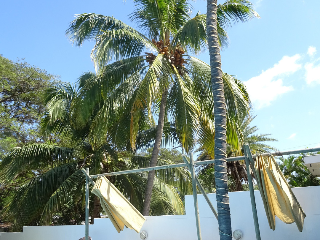 Villa Osumare Guest House主图