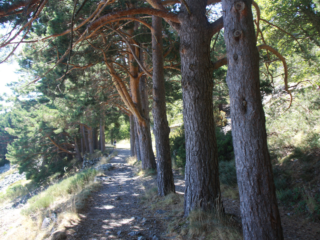 Moncayo Nature Reserve-Anon de Moncayo必去景点