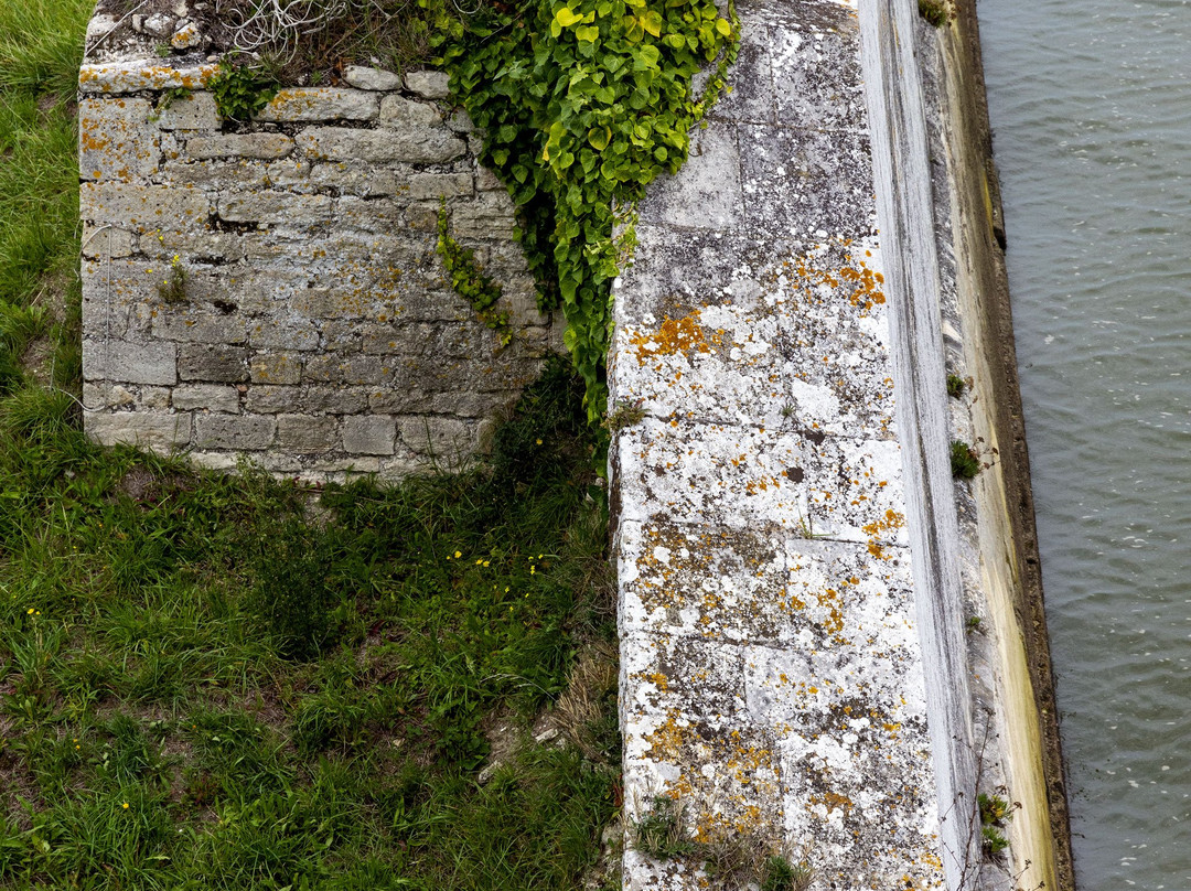 Citadelle du Chateau d'Oleron景点图片