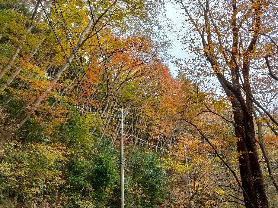 Ohira Moutain-栃木市必去景点