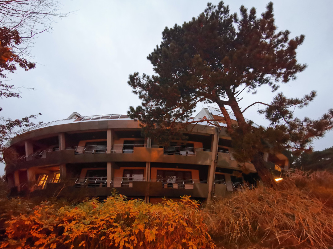 Hotel Dom Zdrojowy Resort & SPA主图
