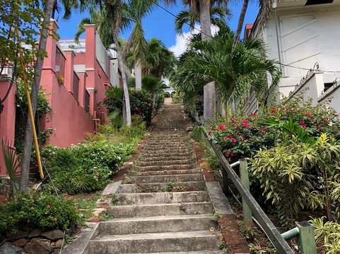 FLAVORS FOOD TOURS - ST THOMAS-夏洛特阿马利亚必去景点