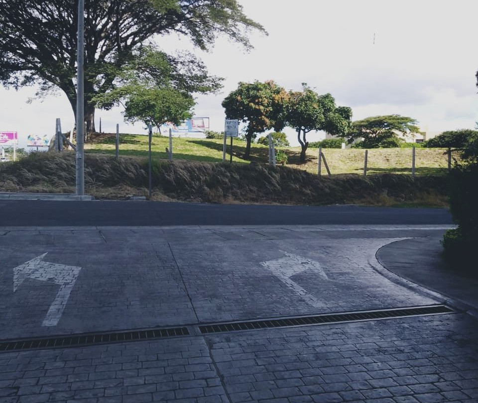 Sheraton San Jose Hotel, Costa Rica主图