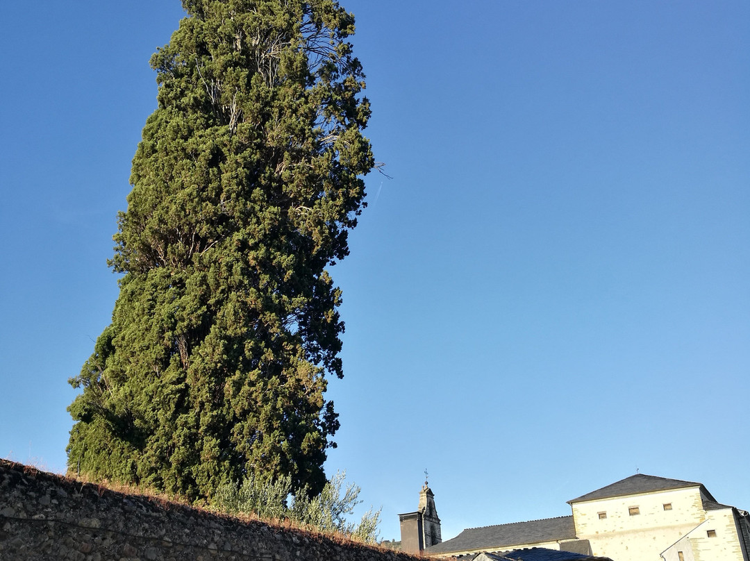 Convento de la Anunciada景点图片