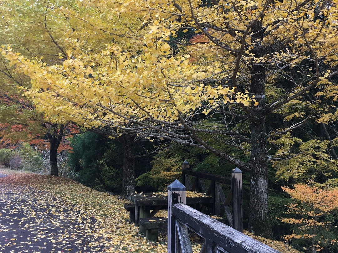 Konose Gorge-那贺町必去景点