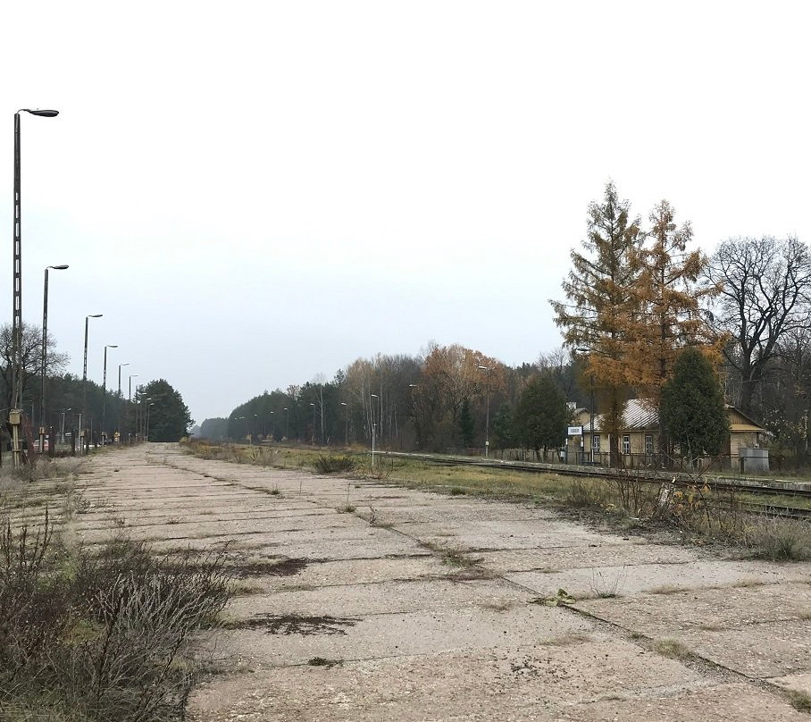 Muzeum Byłego Obozu Zagłady景点图片