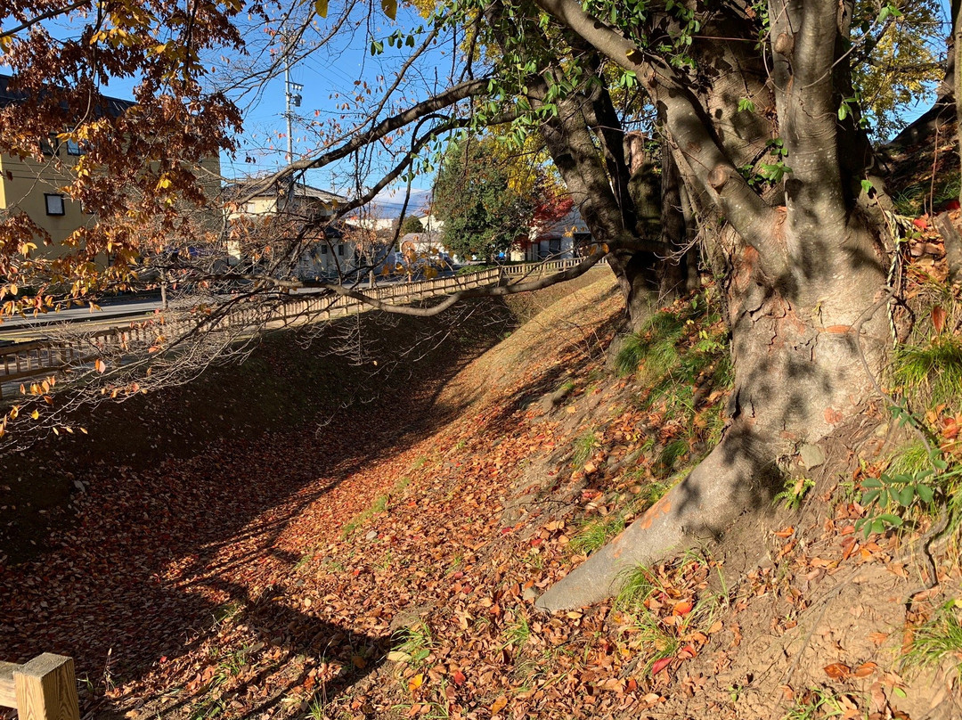 Takanashikan-ato Park-中野市必去景点