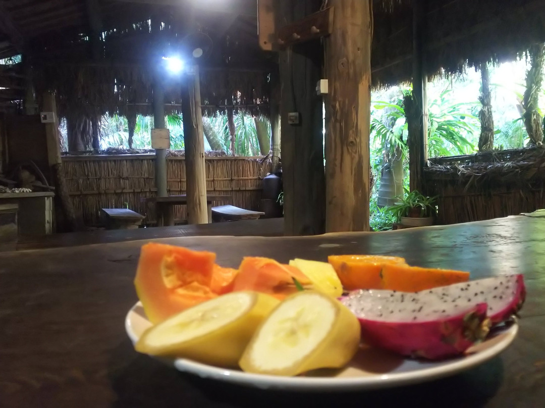 Yakushima Fruit Garden-屋久岛町必去景点