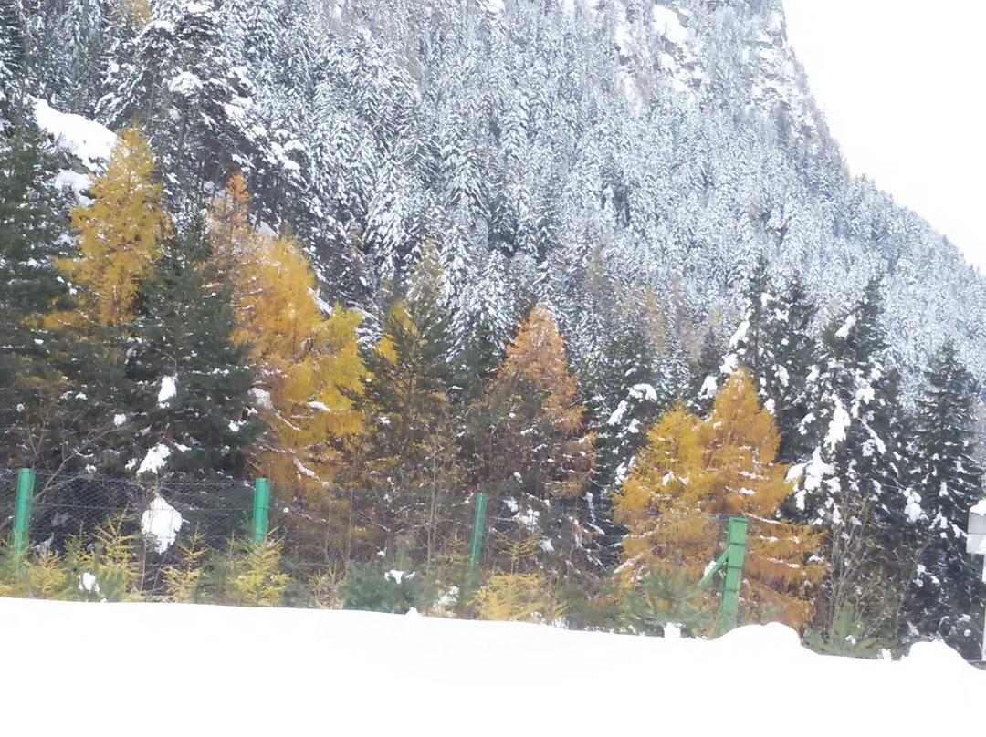 Parco Avventura Mont Blanc景点图片
