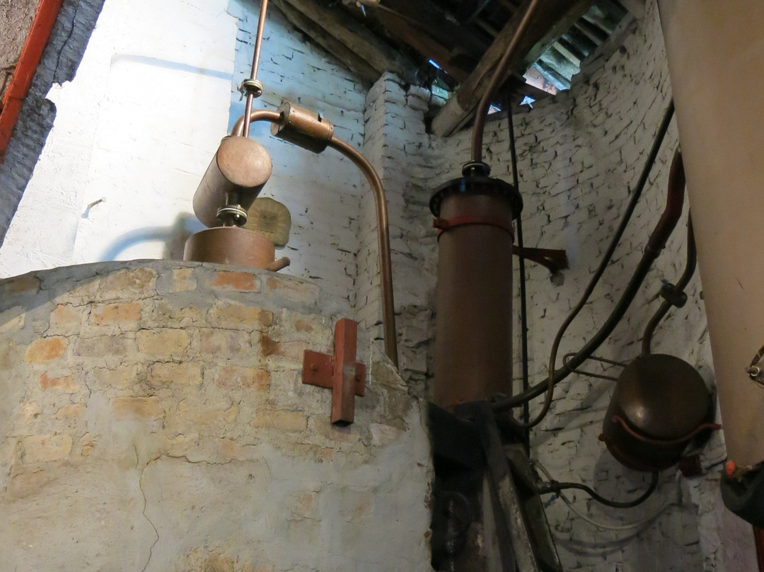 Distilleria Levi Serafino景点图片