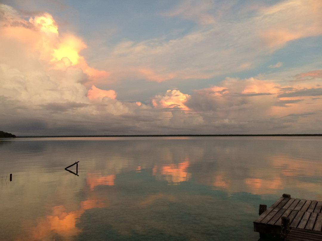 Agave Blue Bacalar主图