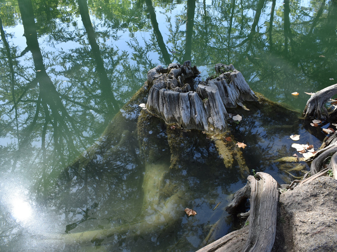 Medina River-Medina必去景点