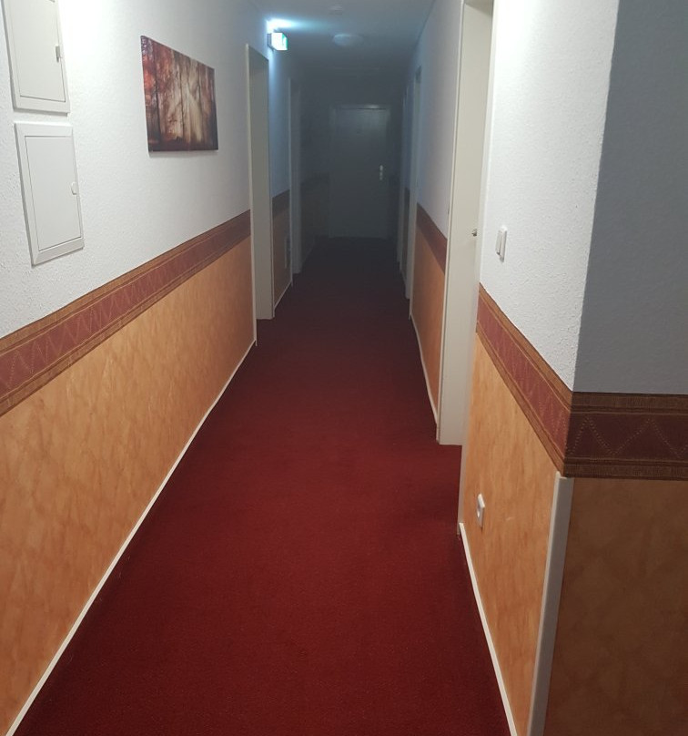 Hotel Hopener Wald主图