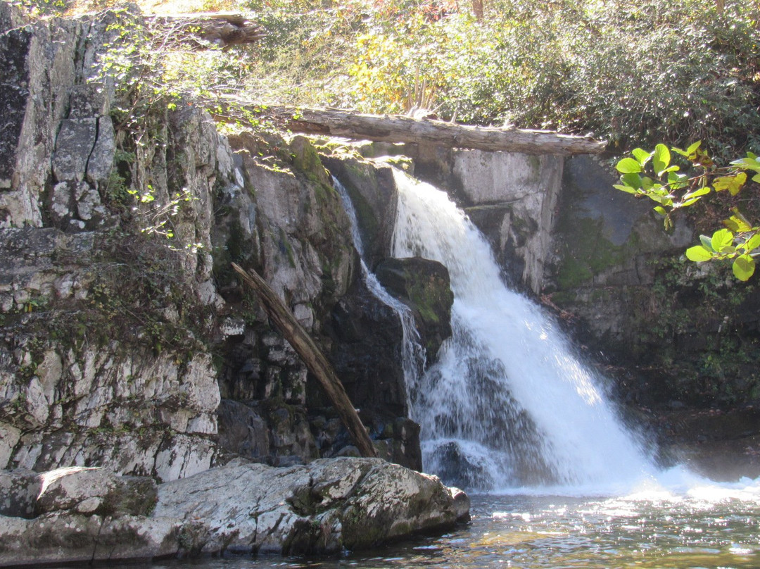 Abrams Falls Trail景点图片