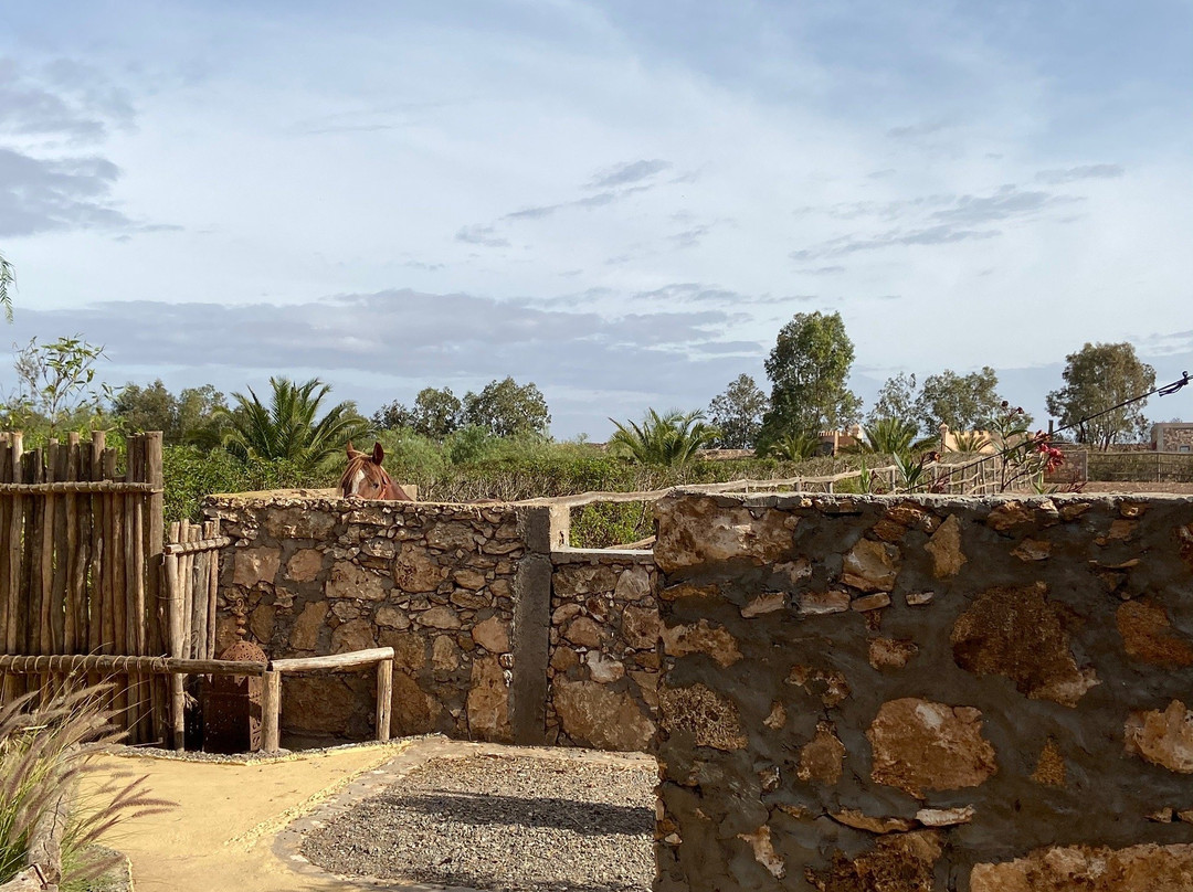 Koheilan Oriental Lodge Farm主图