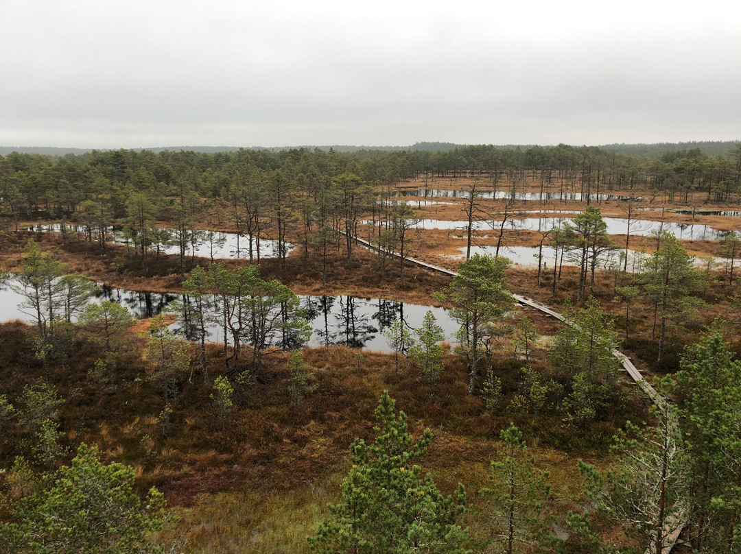 Viru Bog Trail-Kolga必去景点