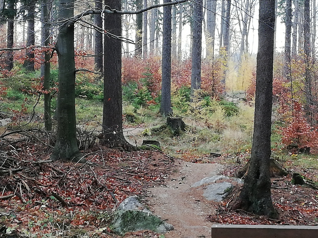 Pensjonat Olympia主图