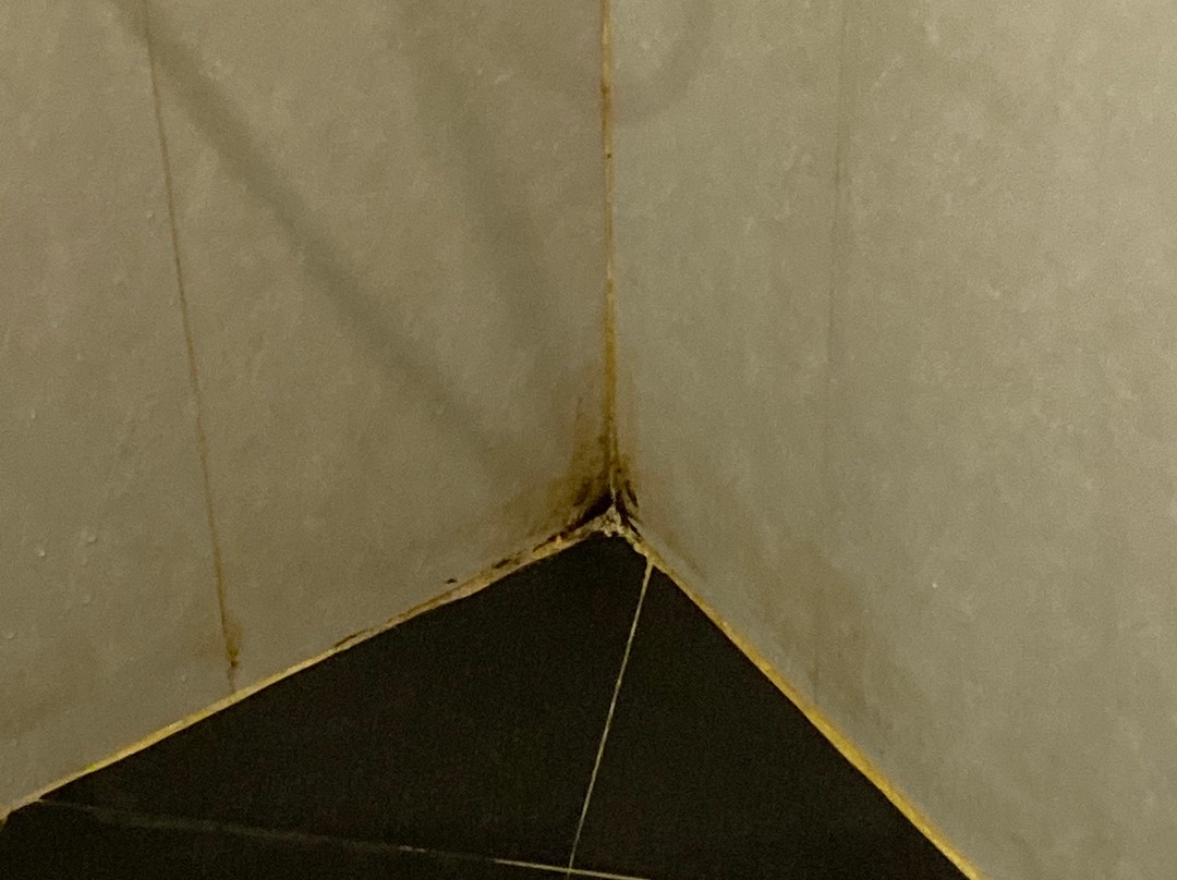 维也纳精品酒店主图