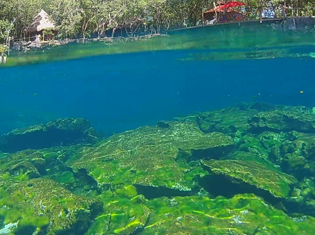 Cenote Jardín del Eden景点图片