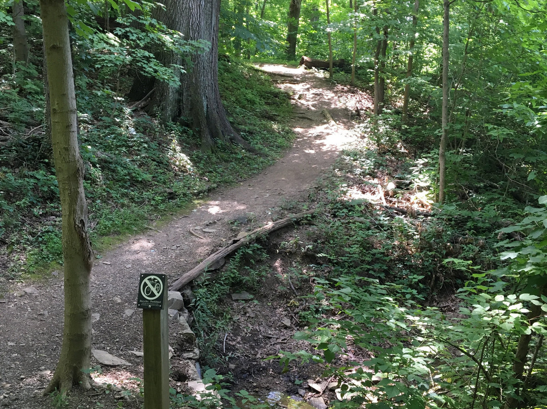 WVU Core Arboretum景点图片
